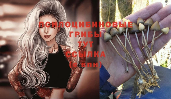 мдпв Горняк