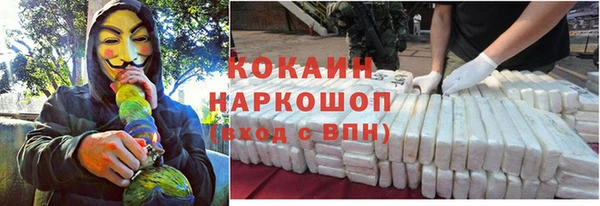 мдпв Горняк