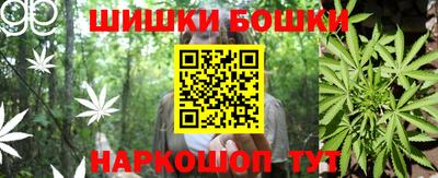 прущие грибы Абакан