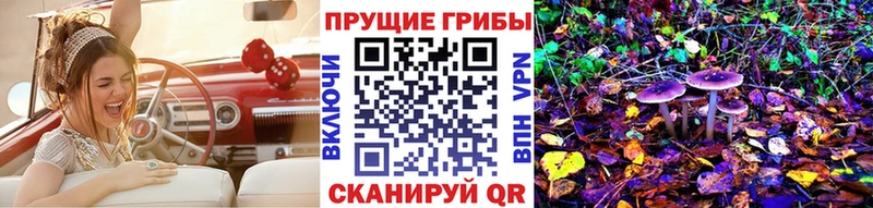 mega как зайти Джанкой Псилоцибиновые грибы Psilocybe