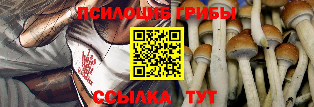 Галлюциногенные грибы Cubensis  Псилоцибиновые грибы мухоморы  Джанкой  Вход с VPN 